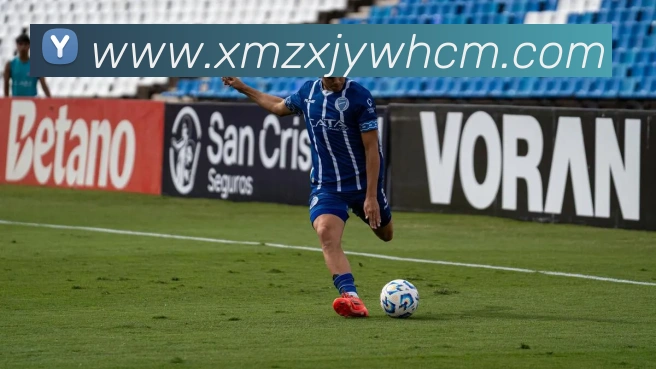 App Interface Preview