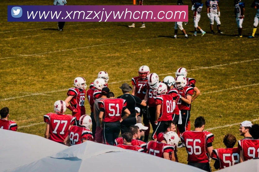 星空体育首页登录入口APP 封面图